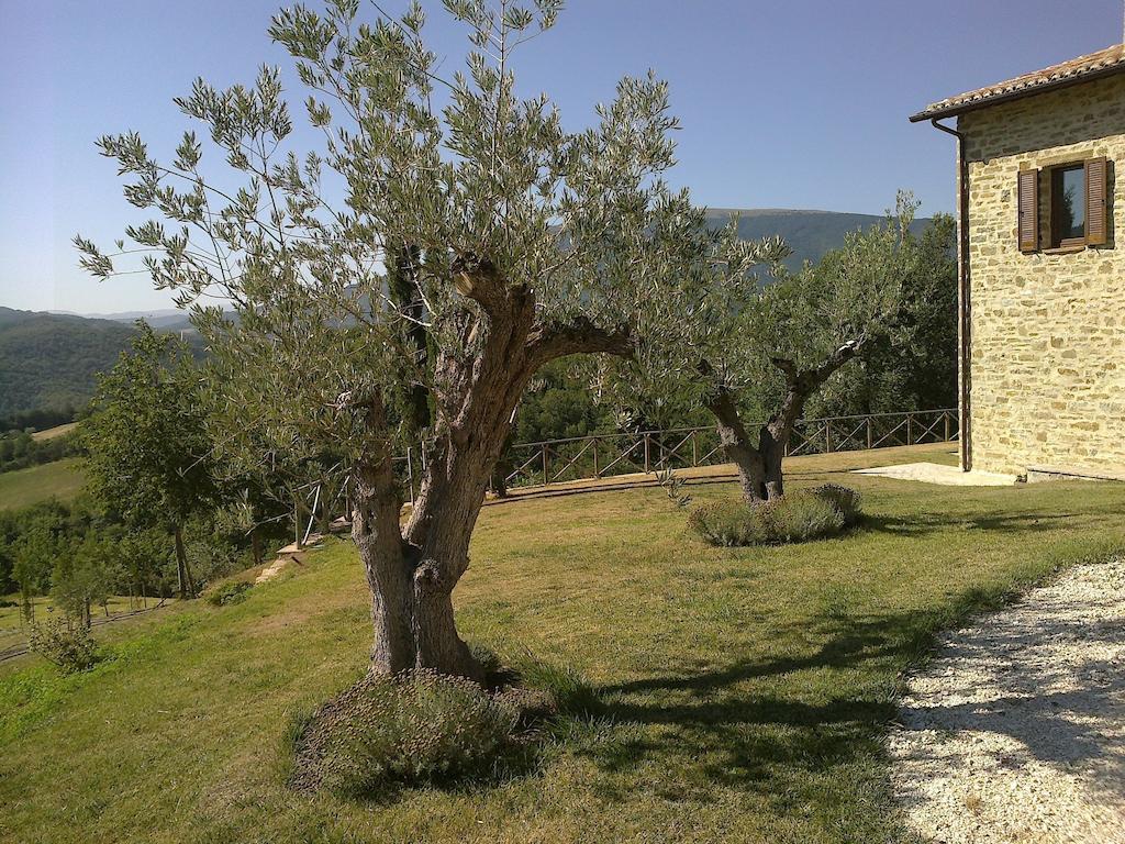 Agriturismo Paradiso 44 Assisi Exteriér fotografie