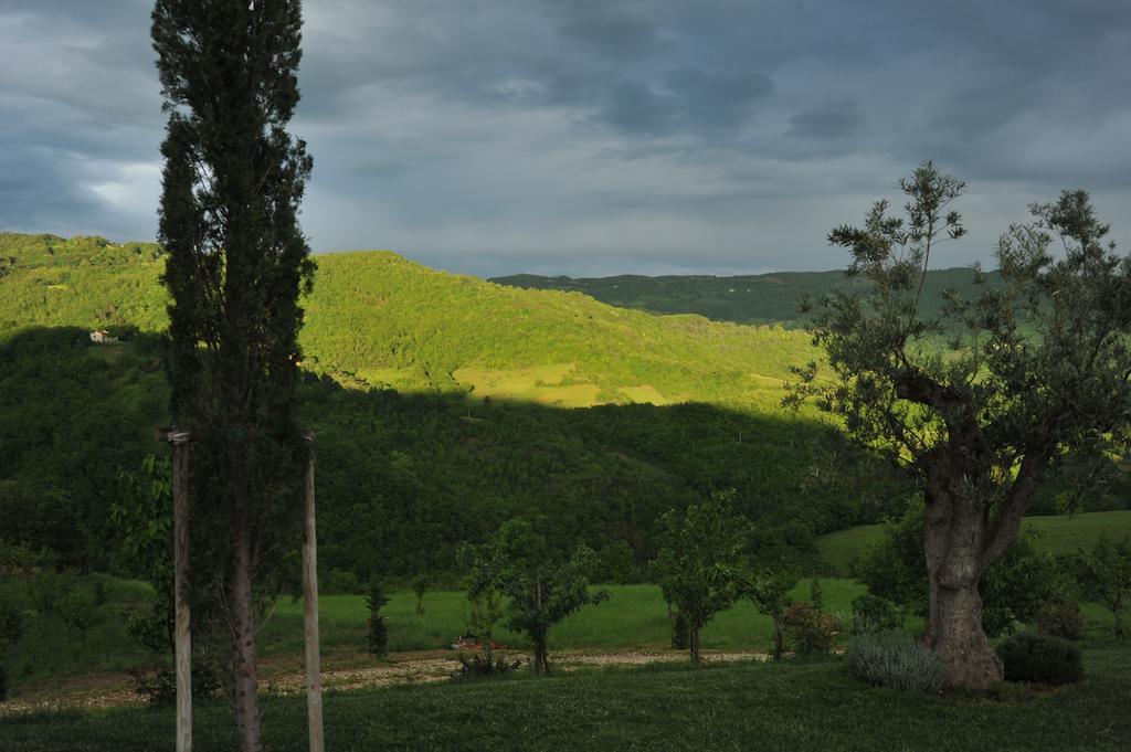 Agriturismo Paradiso 44 Assisi Exteriér fotografie