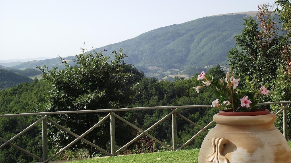 Agriturismo Paradiso 44 Assisi Exteriér fotografie