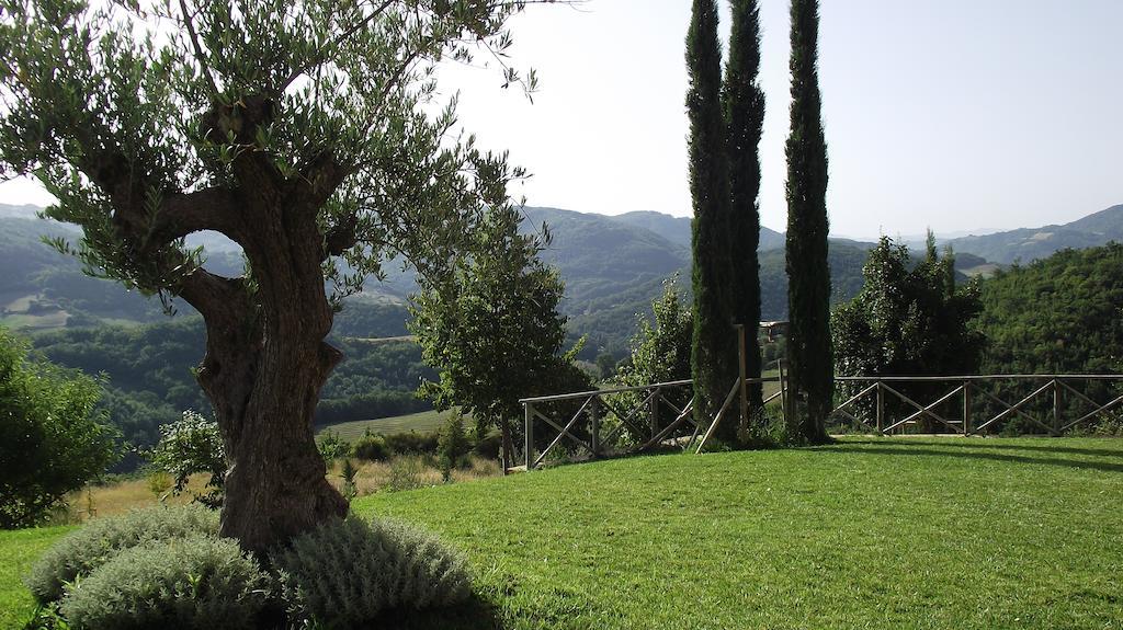 Agriturismo Paradiso 44 Assisi Exteriér fotografie