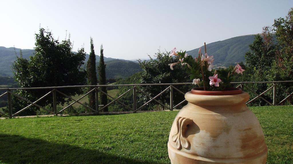 Agriturismo Paradiso 44 Assisi Exteriér fotografie
