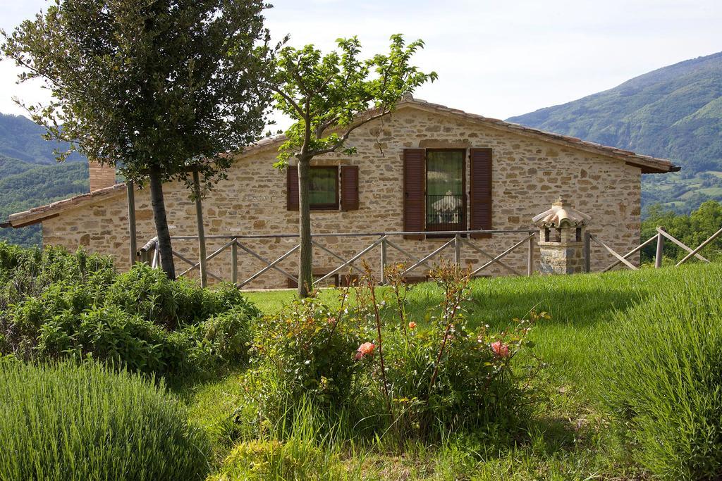 Agriturismo Paradiso 44 Assisi Exteriér fotografie