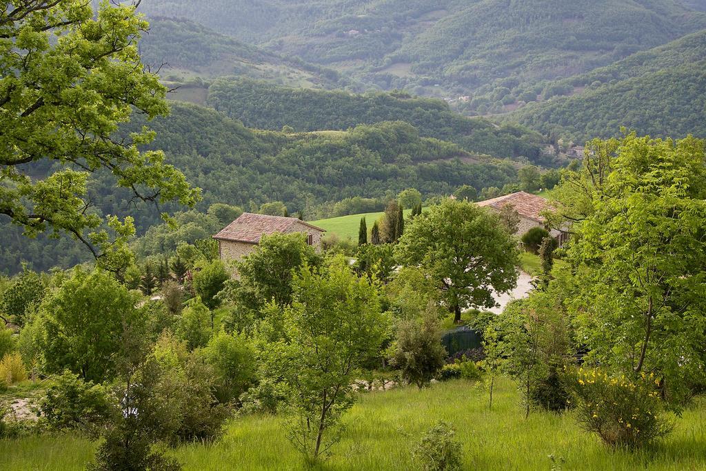 Agriturismo Paradiso 44 Assisi Exteriér fotografie