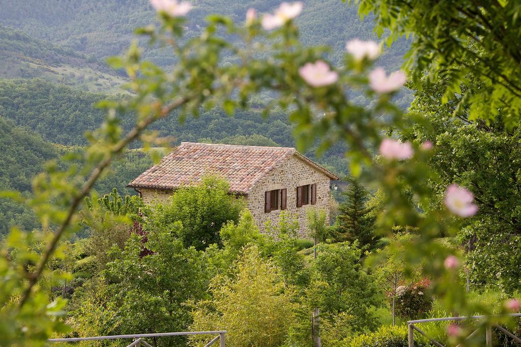 Agriturismo Paradiso 44 Assisi Exteriér fotografie